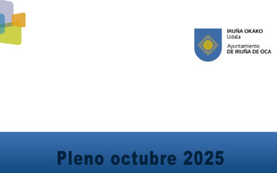 Pleno ordinario Octubre 2025