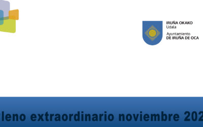 Pleno extraordinario Noviembre