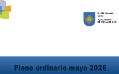 Pleno ordinario mayo 2026