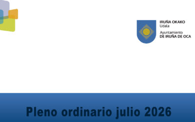Pleno ordinario Julio 2026